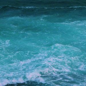 日本很黄很暴力
